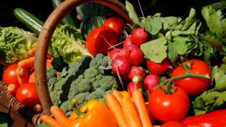 Frisches Obst und Gemüse bis vor die Haustür