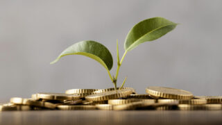 In Sachwerte investieren und dabei Gutes tun