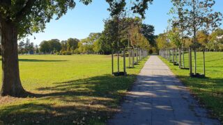 Stadtteilspaziergang: Unterwegs in Blumenthal