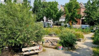 Die Lucie wird zur grünen Oase