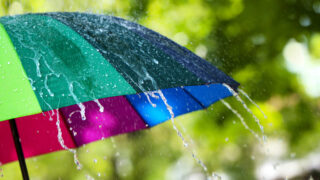 Bremen bei Regen: Die besten Indoor-Aktivitäten für graue Tage